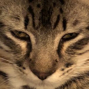 Meet your Posher, Casey